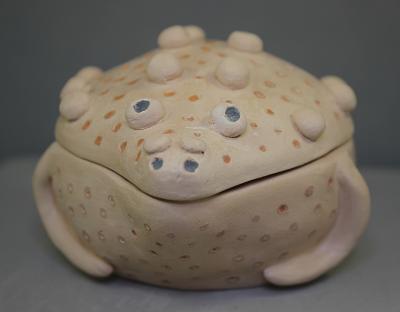 Toad Box