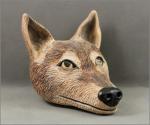 Coyote Pipe